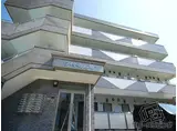 シャトル応神
