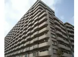 サンパティック的形