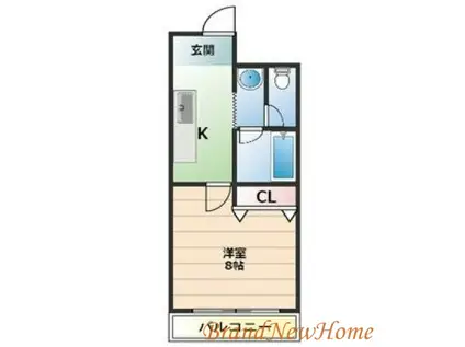 ルーミー堺東(1K/2階)の間取り写真