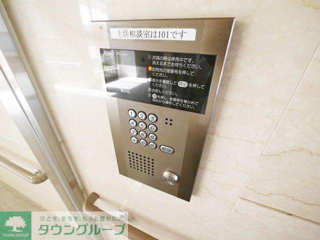 エヴァーグリーン新羽