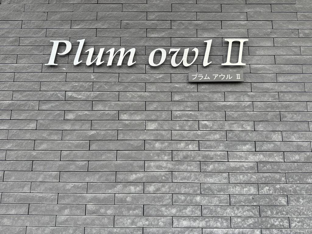 PLUM OWL
