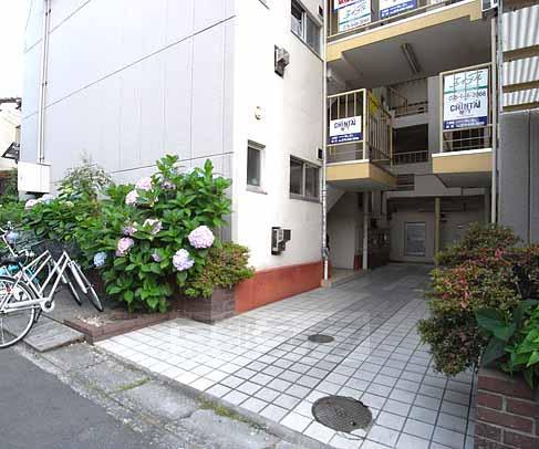 ハイツパープル