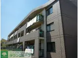 パレステージ