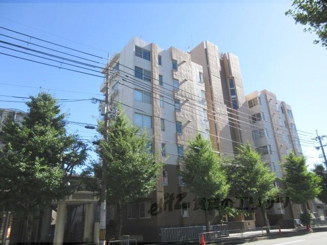シーズン嵐山407