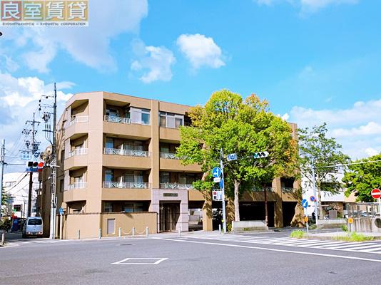 FJ日進通