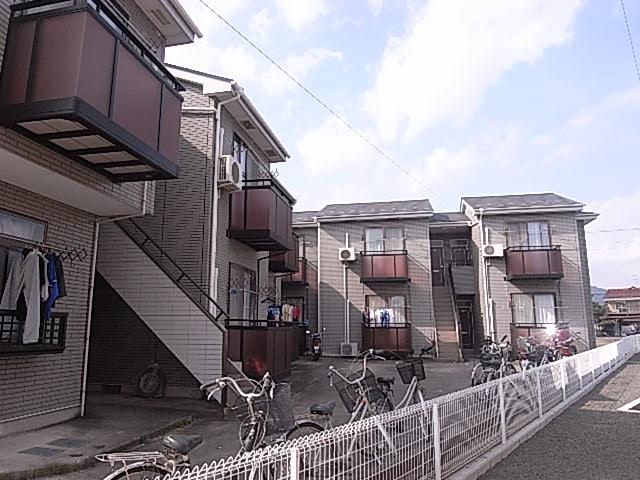 コーポモミの木