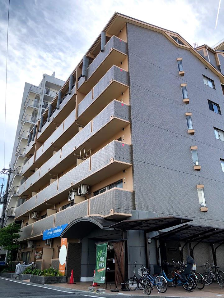 メルベーユ杉
