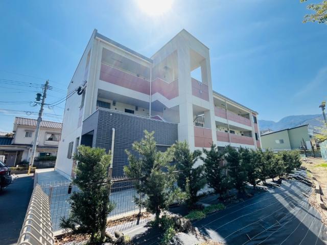 庵樹II