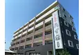 プリンセスティアラ
