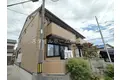 シードリーム