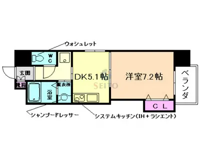 GRACE TM(1DK/10階)の間取り写真