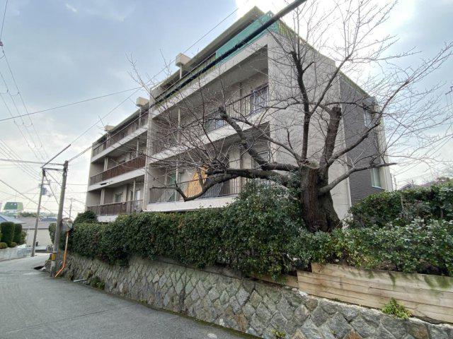 芦屋三条マンション(4LDK/3階)
