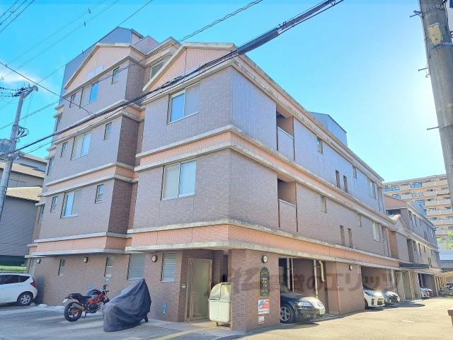 シルクシティ花