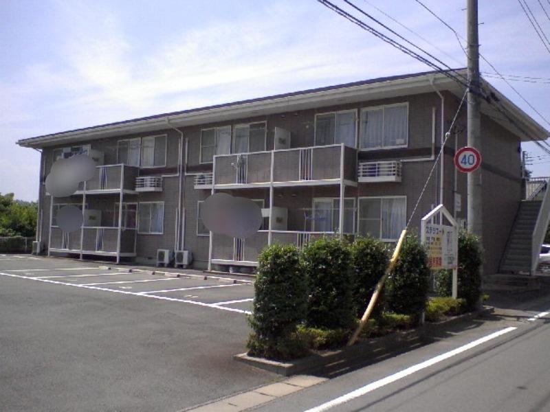 ステラコート