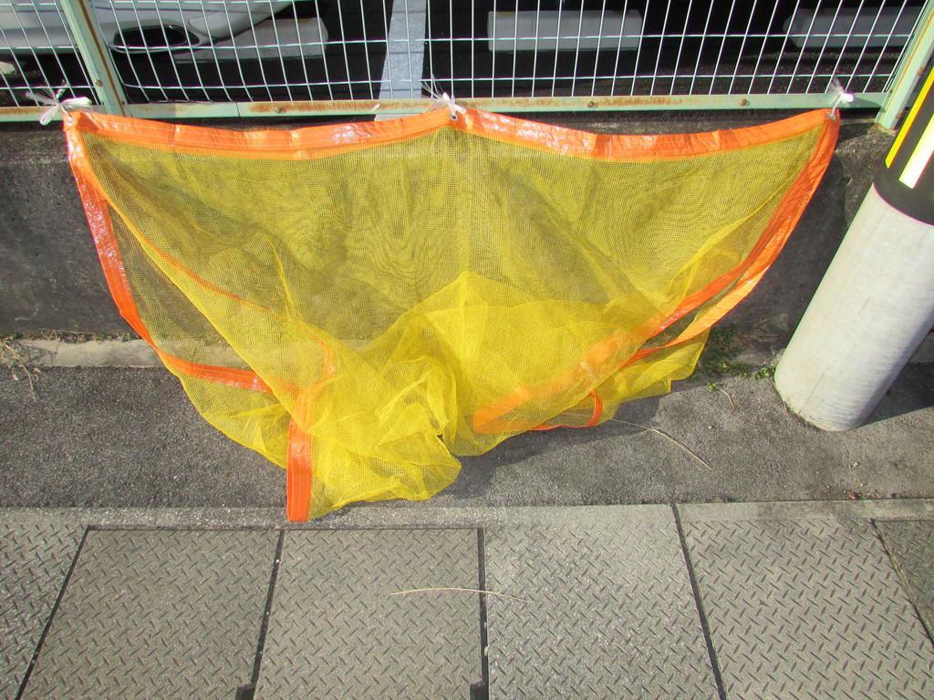 ウィクトル宝
