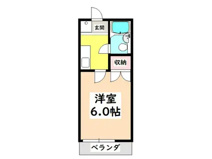 コーポ石川(1K/1階)の間取り写真