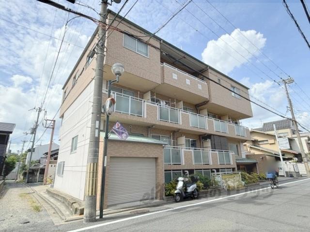 りさ・すみぞめ