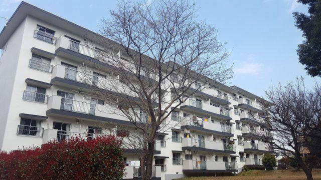 片倉台団地24号棟