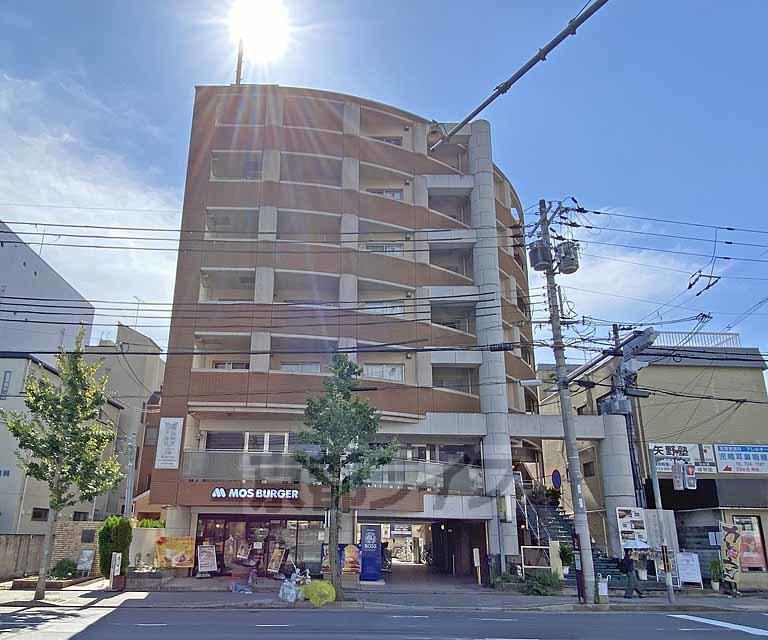 GATO D.M北山