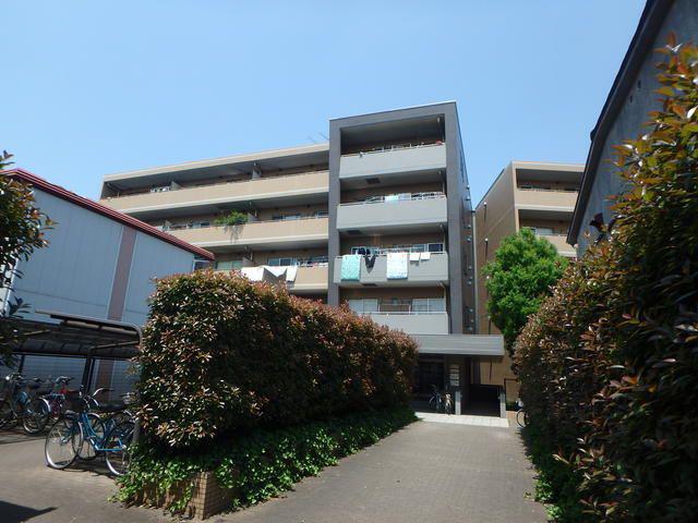 プレジール西新井(3LDK/5階)