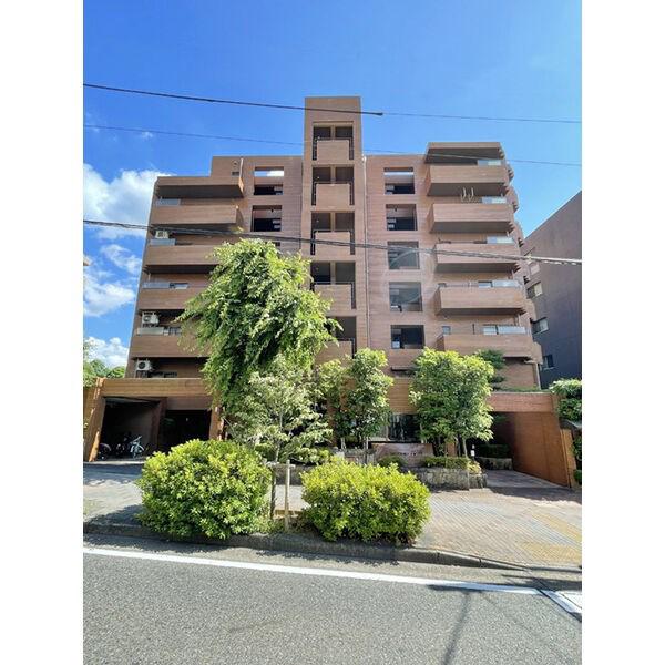 三旺マンション猫洞