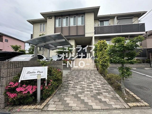 ステラピーノ