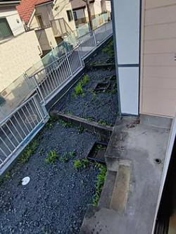 スターホームズ希望が丘