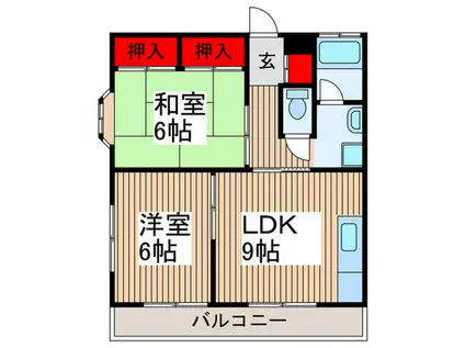 サクセスコート(2LDK/1階)の間取り写真