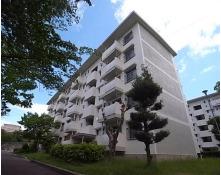新多聞第3208号棟