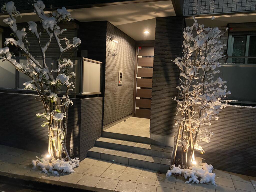 ラフェリチタアレイ