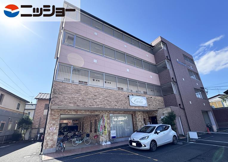 セルリアンクオーレ