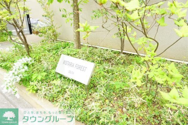 ウィスタリアフォレストサウス