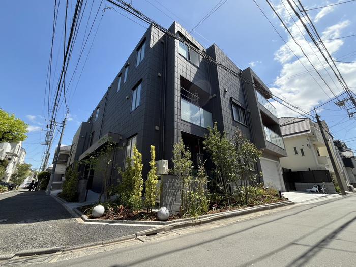 WISTERIA NAKANO