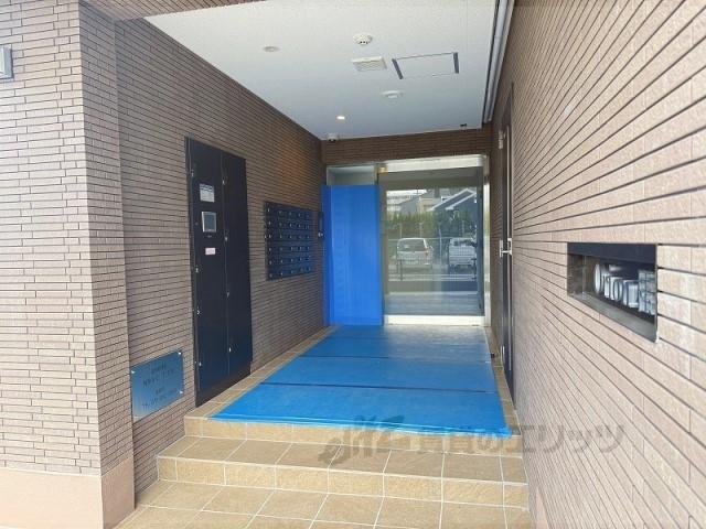 オリオン桂