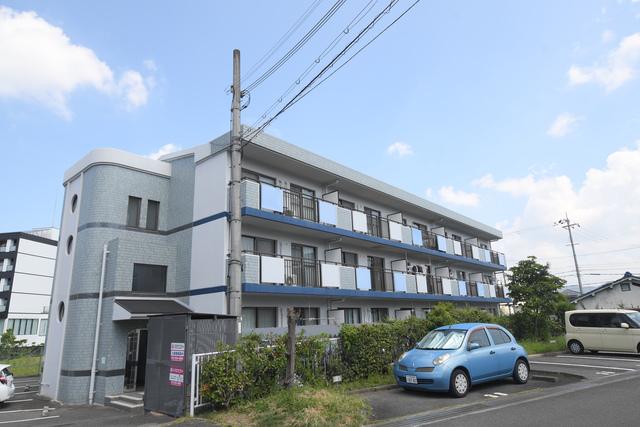 サンライズマゼミ