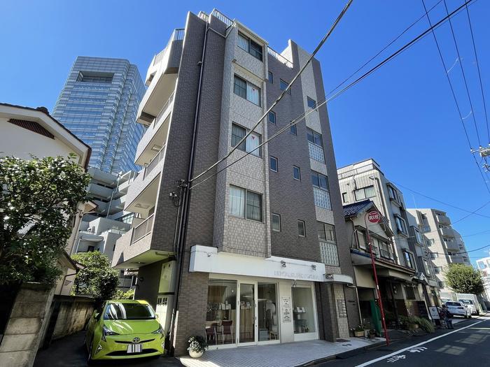 ARALIA COURT(1K/4階)