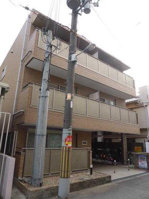 タイズコートクニジマ