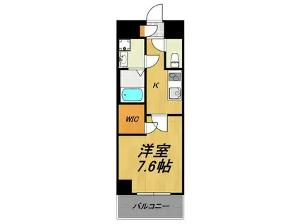 TIRAPALACE天神山(1K/4階)の間取り写真