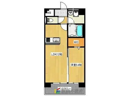 カサグランデ本町(1LDK/6階)の間取り写真