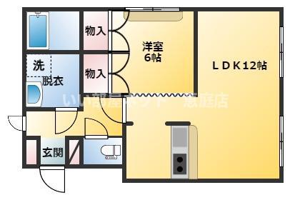 ハイツTKYII(1LDK/1階)の間取り写真