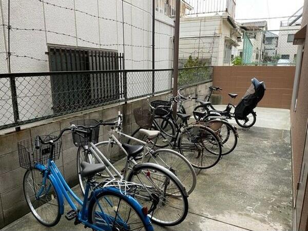 アペックス15