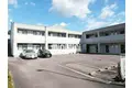 アイディール・Y