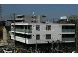 メイプルツリー