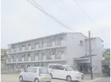 ハイライフ坂本