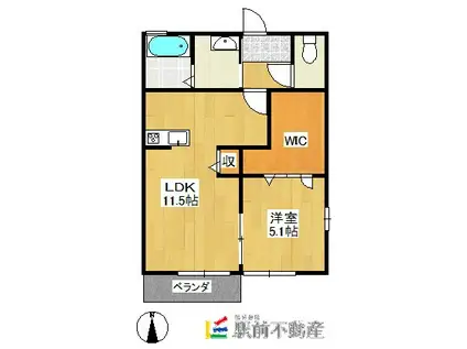 シャルマンドミールII(1LDK/1階)の間取り写真