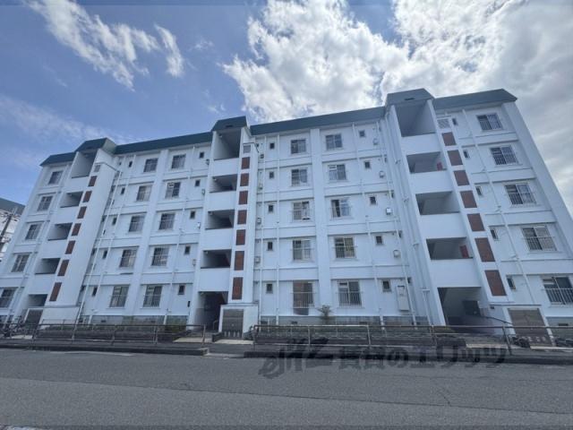 石原C棟
