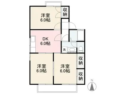 エステート松原C・D棟(3DK/2階)の間取り写真