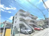 ルミー森川