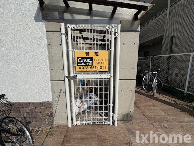 シロハイヌ