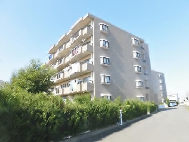 ドルフ長後 壱番館(3LDK/4階)